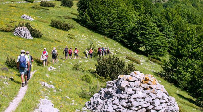 Dolce Risveglio Bed and Breakfast San Valentino in Abruzzo Citeriore Εξωτερικό φωτογραφία